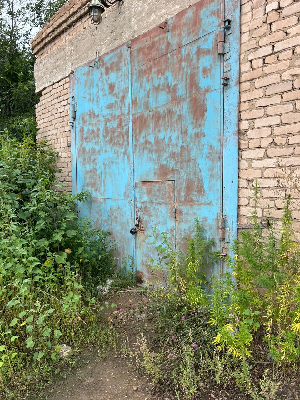 Помещение (Помещение) Пл. 64 кв. м. Местоположение: Оренбургская область, р-н Новоорский, п Новоорск, ул Рабочая, д 3, пом 1