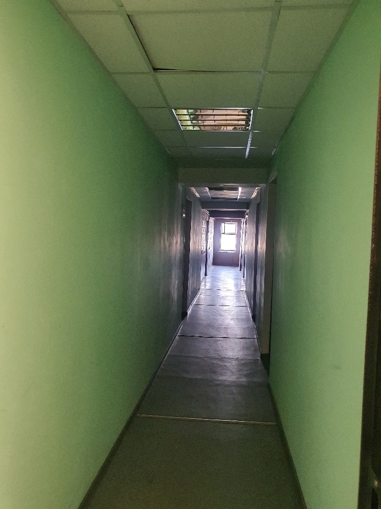 Нежилое помещение общей площадью 66,7 кв.м., расположенное на 2 этаже нежилого здания по адресу: Тульская область, Куркинский р-н, пос. Куркино, ул. Ленина, д.9А