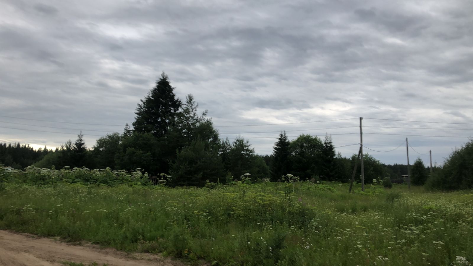 Земельный участок пл. 43289 +/- 1821 кв.м. по адресу: Республика Коми, Сыктывдинский район