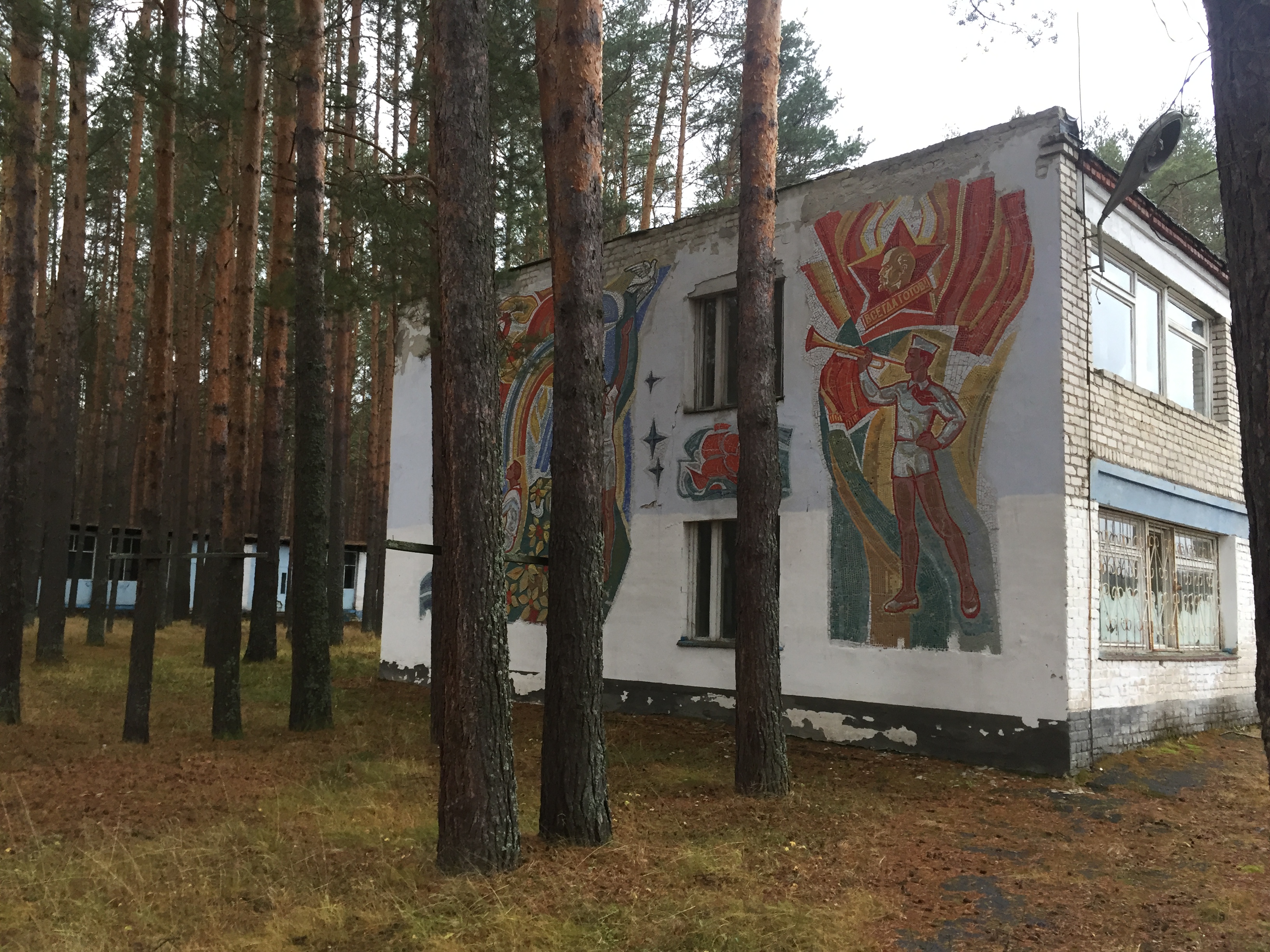 Комплекс имущества, расположенного: Нижегородская обл, р-н Вадский, д Костино, Детский оздоровительный лагерь "Связист": Земельный участок Пл. 50000 +/- 78 кв. м., 10 Зданий об.пл. 3211,80 кв.м., 1 Сооружение площадь застройки 20.2 кв.м.