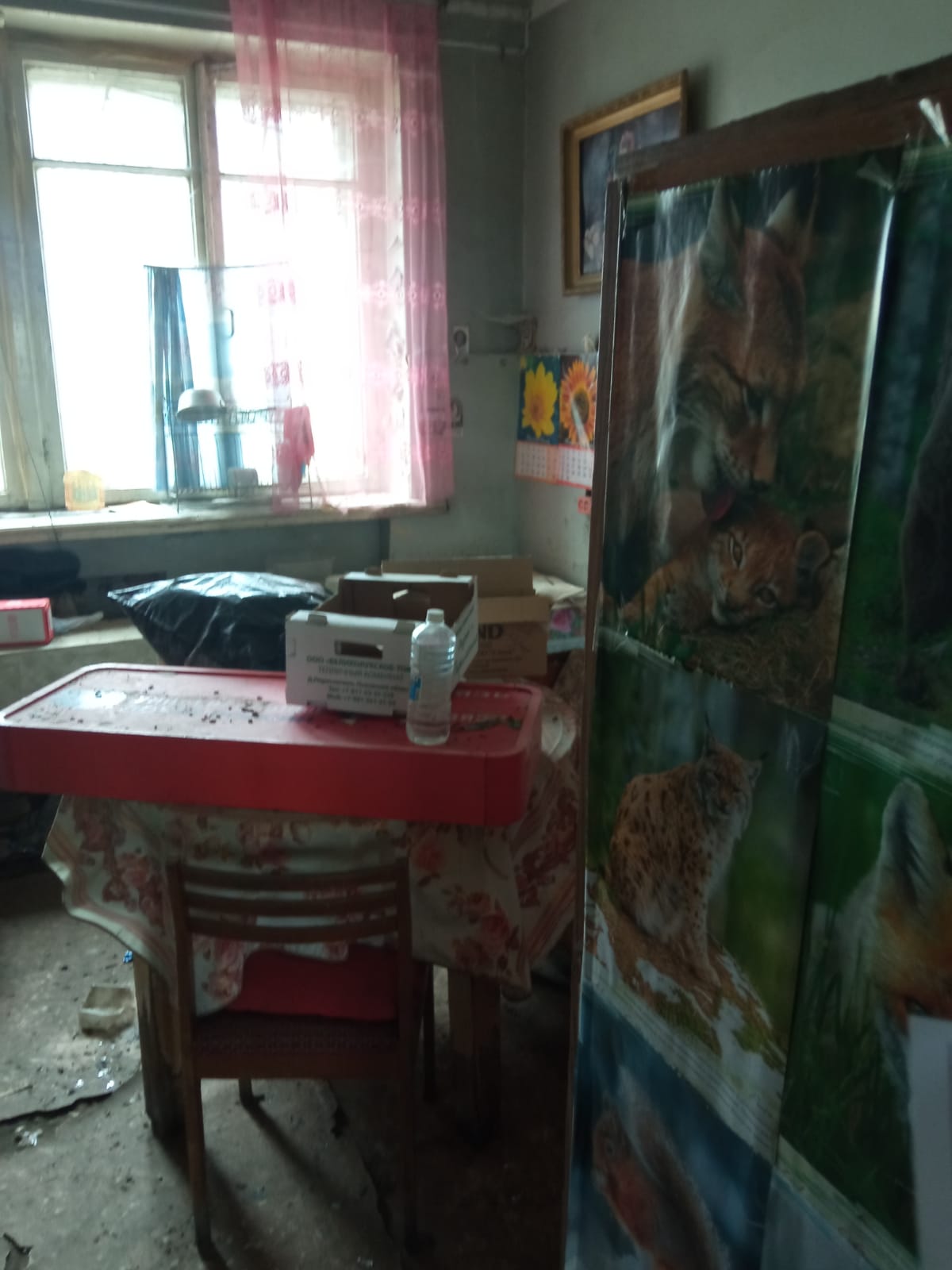 Нежилое помещение Пл. 14.1 кв. м. по адресу: Псковская область, г Великие Луки, пл Вокзальная, д 1, пом 1005