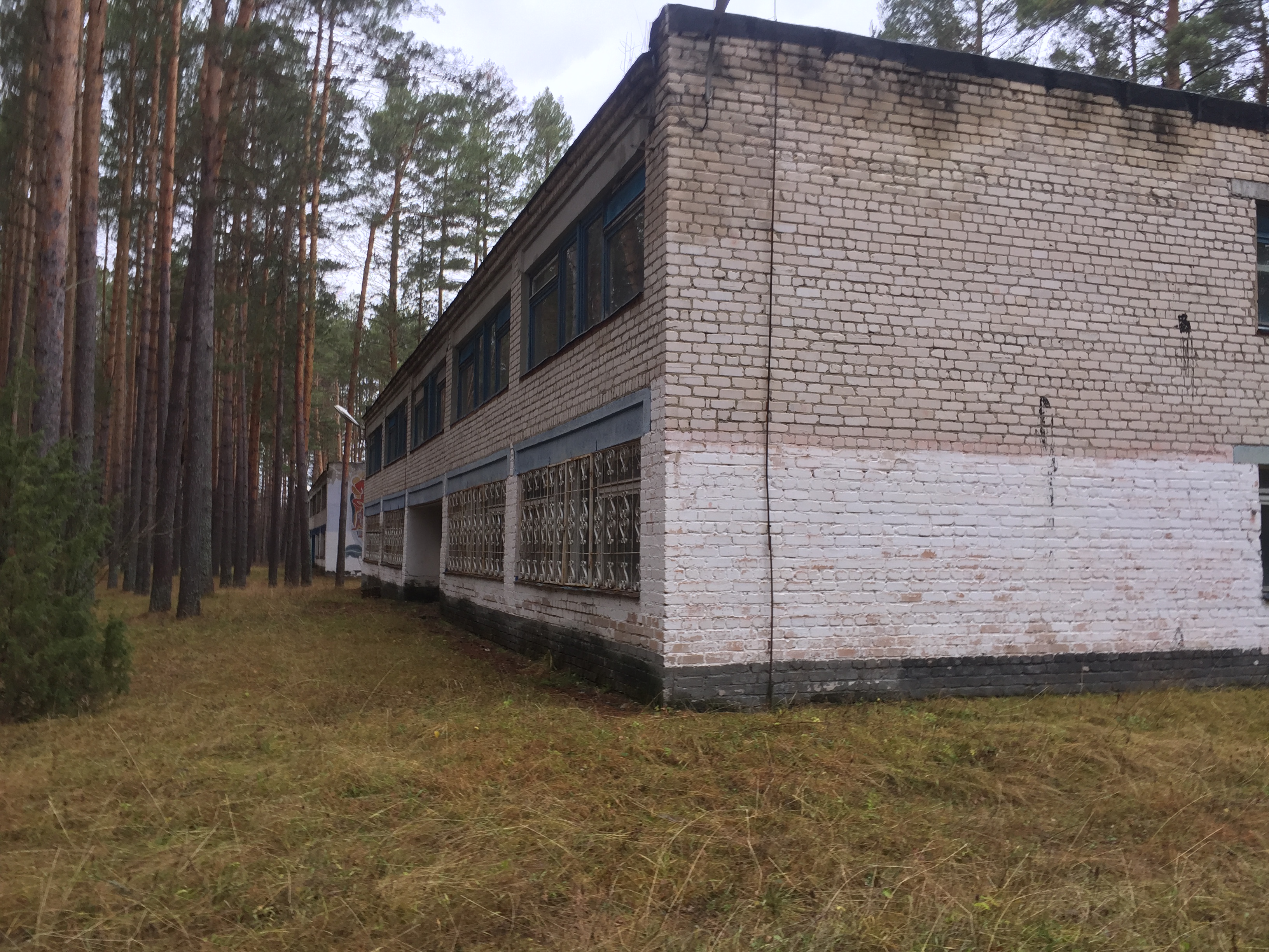 Комплекс имущества, расположенного: Нижегородская обл, р-н Вадский, д Костино, Детский оздоровительный лагерь "Связист": Земельный участок Пл. 50000 +/- 78 кв. м., 10 Зданий об.пл. 3211,80 кв.м., 1 Сооружение площадь застройки 20.2 кв.м.