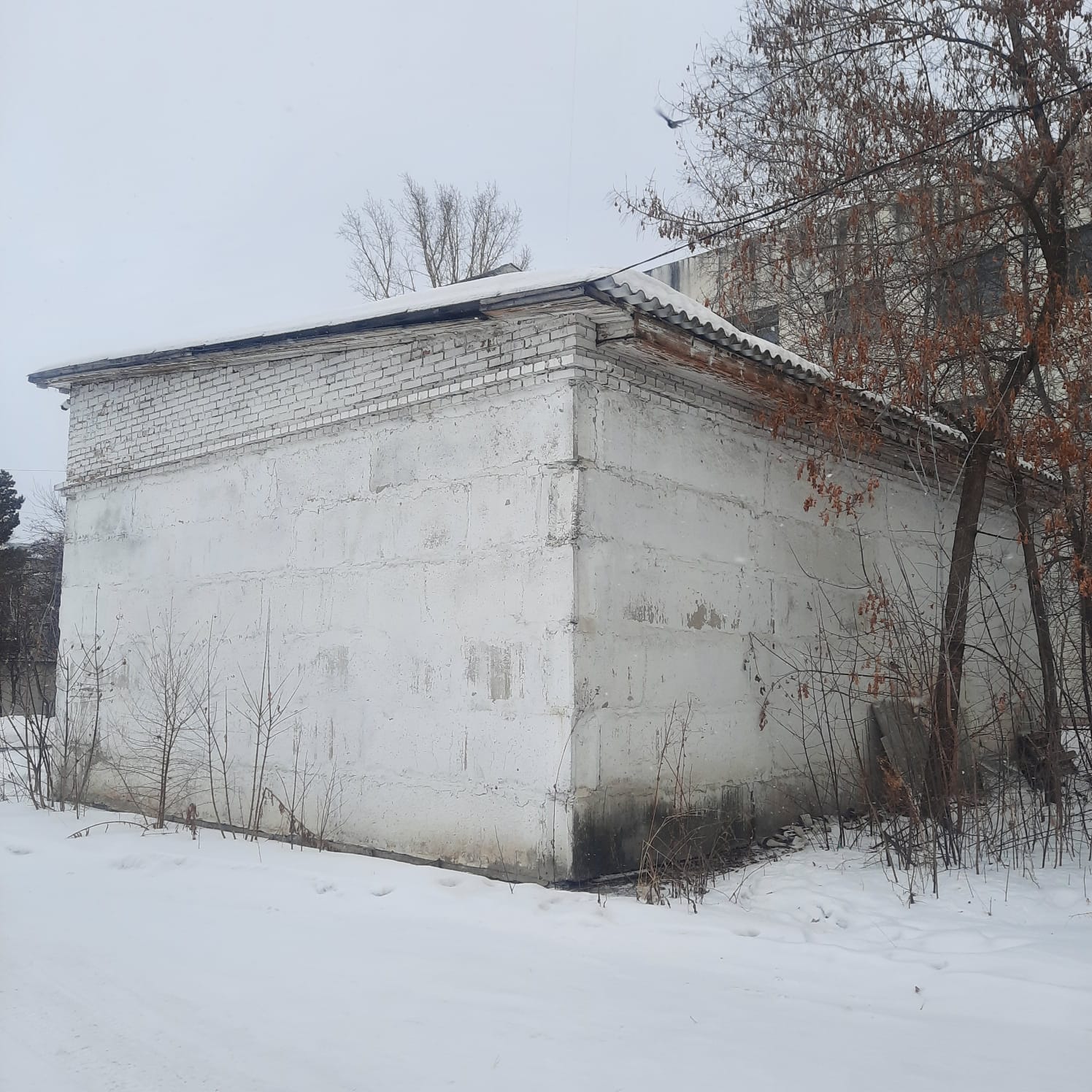 Комплекс имущества, расположенный: Россия, Красноярский край, г.Сосновоборск, ул.Энтузиастов, д.8а (земельный участок 8а)