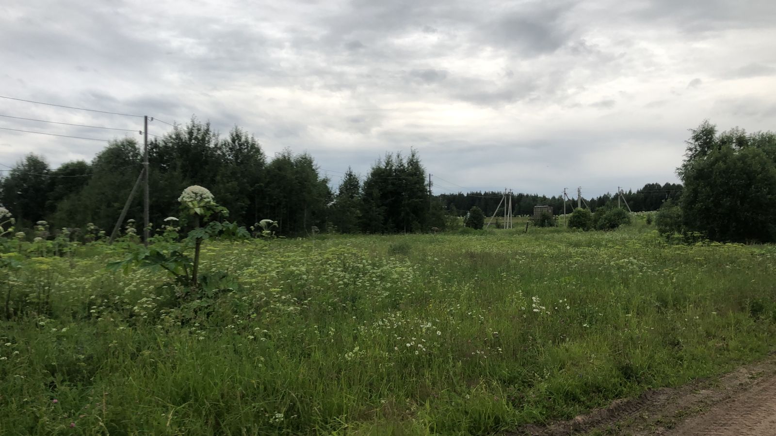 Земельный участок пл. 43289 +/- 1821 кв.м. по адресу: Республика Коми, Сыктывдинский район