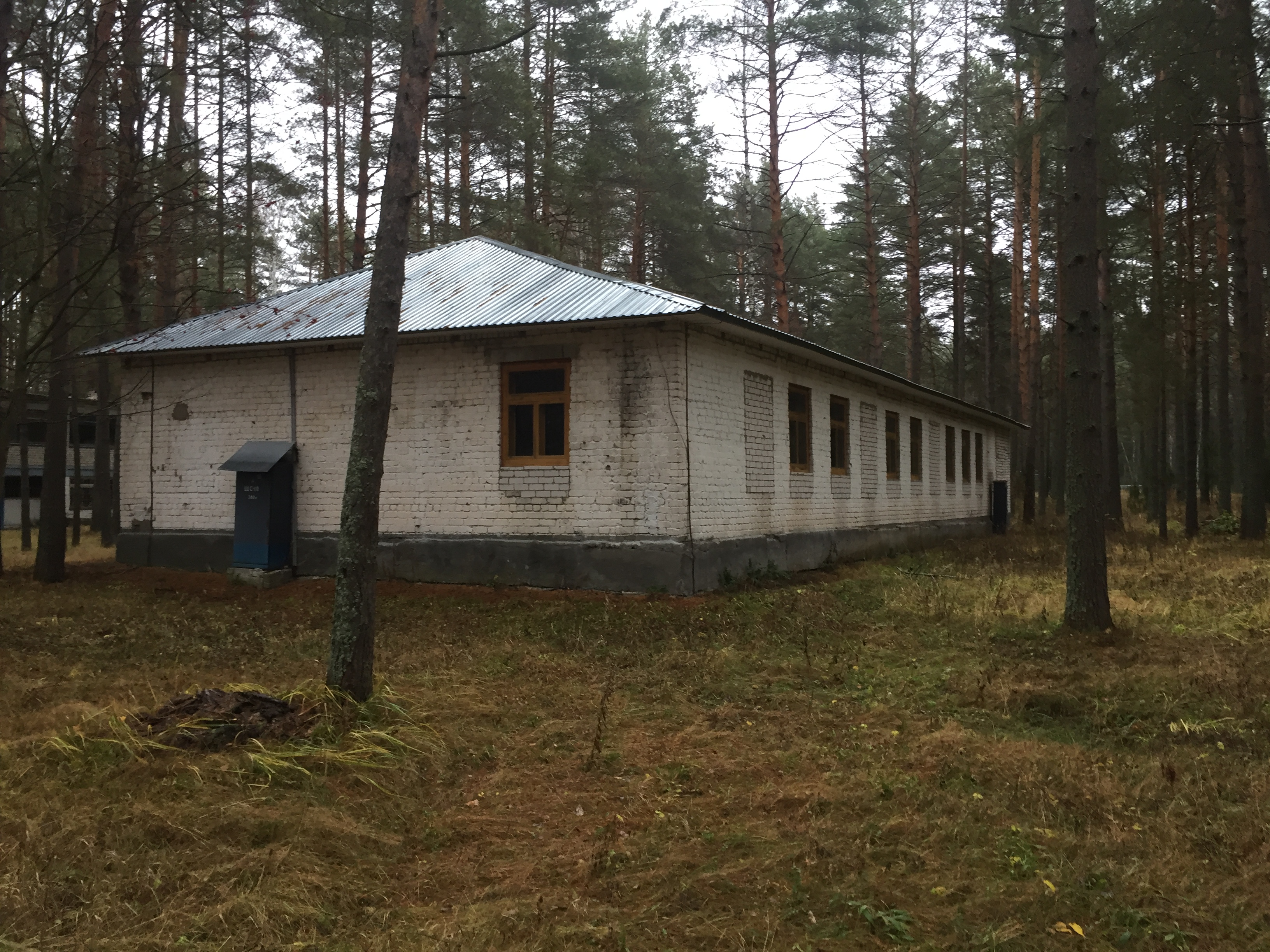Комплекс имущества, расположенного: Нижегородская обл, р-н Вадский, д Костино, Детский оздоровительный лагерь "Связист": Земельный участок Пл. 50000 +/- 78 кв. м., 10 Зданий об.пл. 3211,80 кв.м., 1 Сооружение площадь застройки 20.2 кв.м.